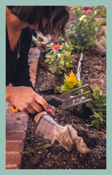 A woman using gardening tools to plant flowers in a garden.